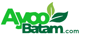 ayoobatam.com